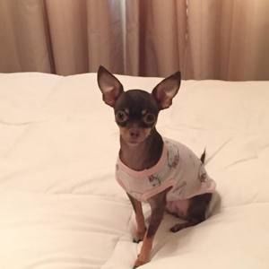 Meet your Posher, Ann